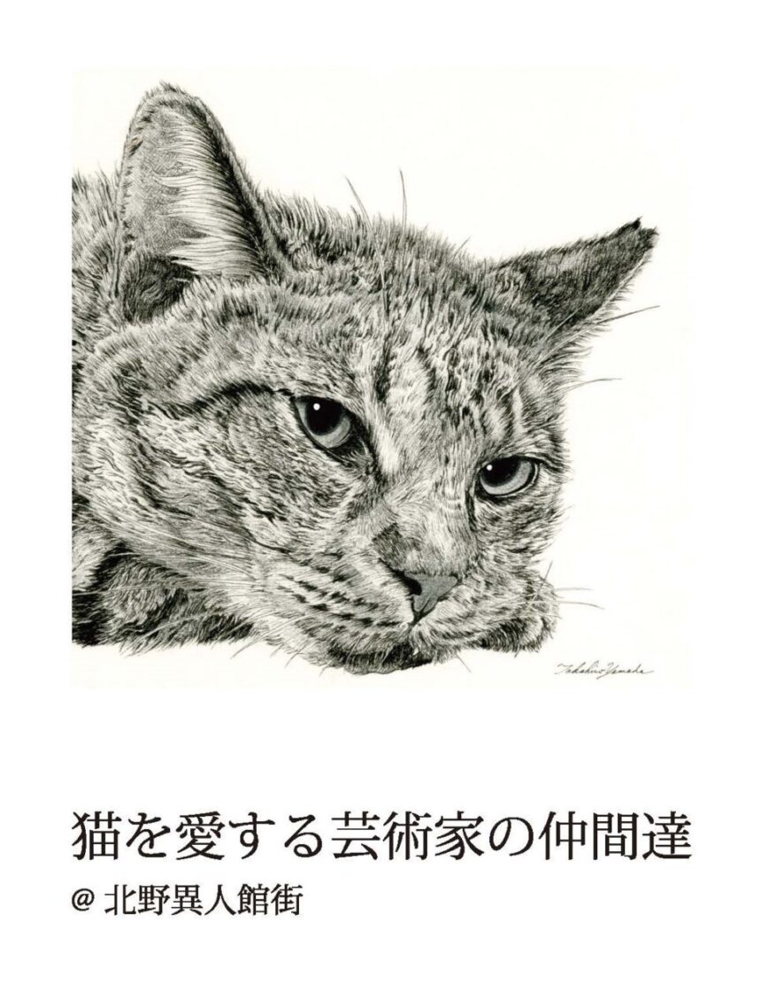 Artist friends who love cats@Kitano Ijinkan Street 2023.2.17.fri-2.26.sun
