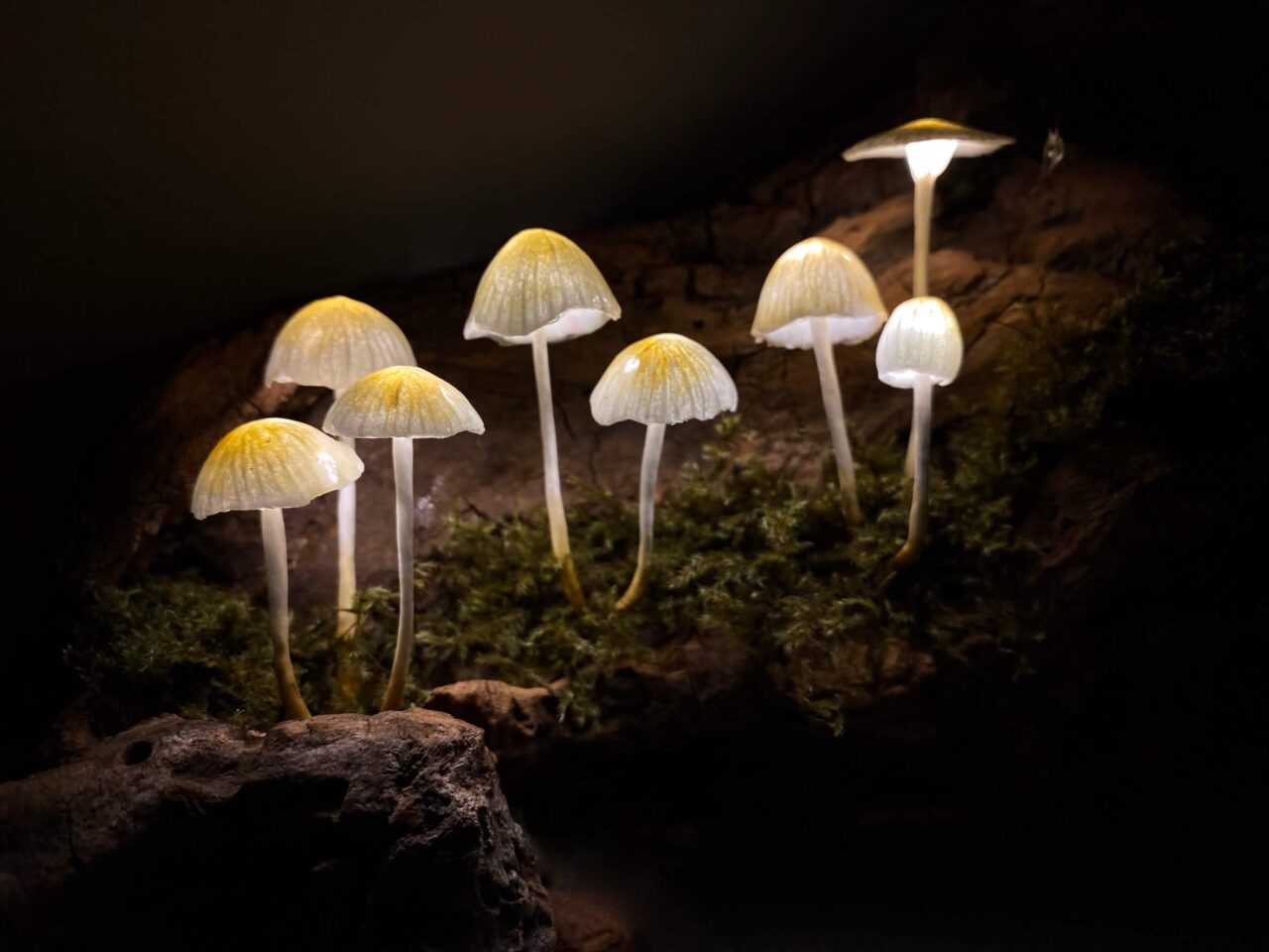 神戸市北野町のアートギャラリーブリコラージュGallery Bricolage since 2021